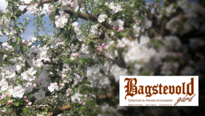 Bagstevoldgaard
